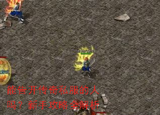 能告开传奇私服的人吗?新手攻略全解析 能告开传奇私服的人吗?新手攻略全解析