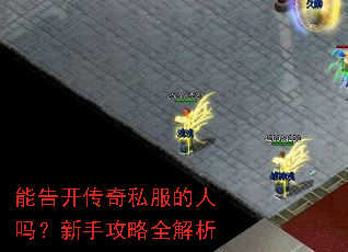 能告开传奇私服的人吗?新手攻略全解析 能告开传奇私服的人吗?新手攻略全解析