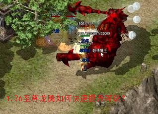 1.76至尊龙腾如何快速提升等级? 1.76至尊龙腾如何快速提升等级?