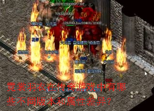 ���������ڴ�����Ϸ������Щ��ͬ�汾�����Բ��죿