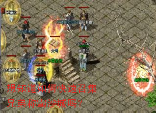 想知道如何快速召集兄弟称霸沙城吗? 想知道如何快速召集兄弟称霸沙城吗?