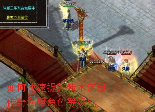 如何快速提升我本沉默传奇私服角色等级? 如何快速提升我本沉默传奇私服角色等级?