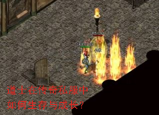 道士在传奇私服中如何生存与成长? 道士在传奇私服中如何生存与成长?