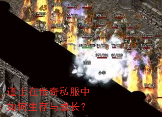道士在传奇私服中如何生存与成长? 道士在传奇私服中如何生存与成长?