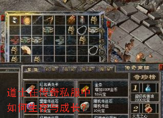 道士在传奇私服中如何生存与成长? 道士在传奇私服中如何生存与成长?