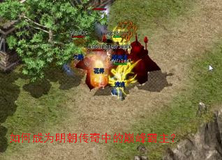 如何成为明朝传奇中的巅峰霸主? 如何成为明朝传奇中的巅峰霸主?