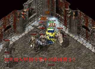 如何成为明朝传奇中的巅峰霸主? 如何成为明朝传奇中的巅峰霸主?