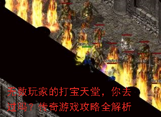 无数玩家的打宝天堂,你去过吗?传奇游戏攻略全解析 无数玩家的打宝天堂,你去过吗?传奇游戏攻略全解析