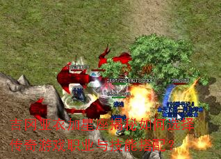 吉冈亚衣加星座揭秘如何选择传奇游戏职业与技能搭配? 吉冈亚衣加星座揭秘如何选择传奇游戏职业与技能搭配?