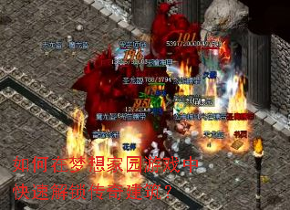 ����������԰��Ϸ�п��ٽ������潨����