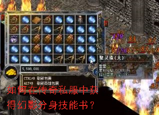 如何在传奇私服中获得幻影分身技能书? 如何在传奇私服中获得幻影分身技能书?