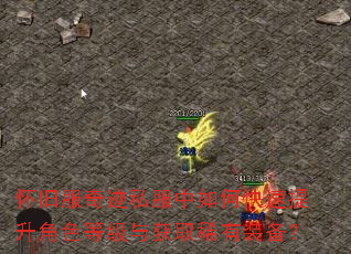 怀旧服奇迹私服中如何快速提升角色等级与获取稀有装备? 怀旧服奇迹私服中如何快速提升角色等级与获取稀有装备?