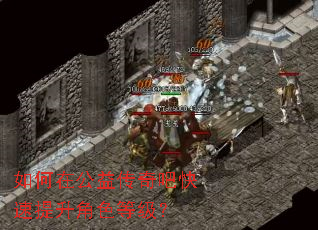 如何在公益传奇吧快速提升角色等级? 如何在公益传奇吧快速提升角色等级?