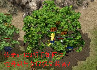 传奇sf123新手如何快速升级与获取极品装备? 传奇sf123新手如何快速升级与获取极品装备?