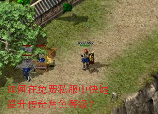 如何在免费私服中快速提升传奇角色等级? 如何在免费私服中快速提升传奇角色等级?