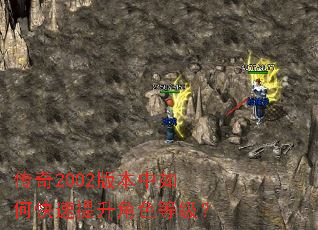 传奇2002版本中如何快速提升角色等级? 传奇2002版本中如何快速提升角色等级?
