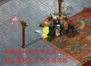 如何提升游戏幸运值?玩家必看的高运气养成攻略 如何提升游戏幸运值?玩家必看的高运气养成攻略