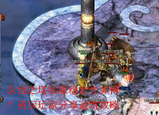 永恒之塔私服稳定性如何?资深玩家分享避坑攻略 永恒之塔私服稳定性如何?资深玩家分享避坑攻略