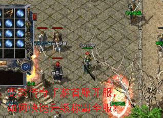 变态传奇手游首服开服,如何快速升级称霸全服? 变态传奇手游首服开服,如何快速升级称霸全服?