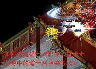 ��ο���������ְҵ���洫�������еĵ�ʿ�ٻ��޵ȼ���
