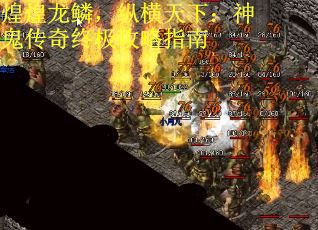煌煌龙鳞，纵横天下：神鬼传奇终极攻略指南