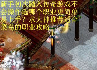 新手初次踏入传奇游戏不会操作选哪个职业更简单易上手？求大神推荐适合菜鸟的职业攻略