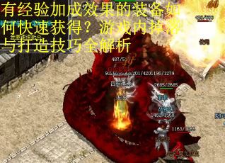 有经验加成效果的装备如何快速获得？游戏内掉落与打造技巧全解析