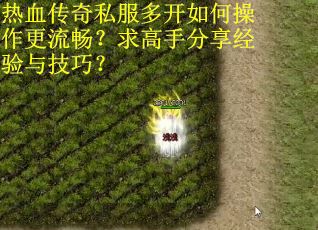 热血传奇私服多开如何操作更流畅？求高手分享经验与技巧？