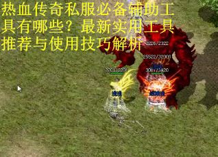 热血传奇私服必备辅助工具有哪些？最新实用工具推荐与使用技巧解析