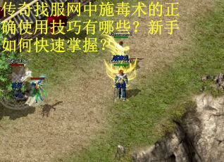 传奇找服网中施毒术的正确使用技巧有哪些？新手如何快速掌握？