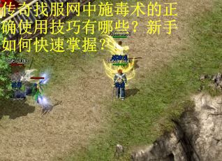传奇找服网中施毒术的正确使用技巧有哪些？新手如何快速掌握？
