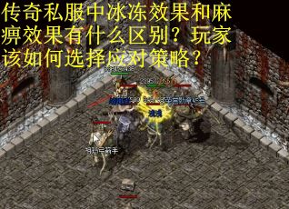 传奇私服中冰冻效果和麻痹效果有什么区别？玩家该如何选择应对策略？