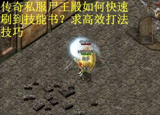 传奇私服尸王殿如何快速刷到技能书？求高效打法技巧