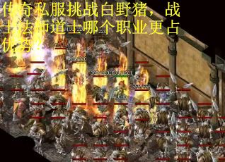 传奇私服挑战白野猪，战士法师道士哪个职业更占优势？