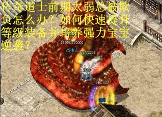 传奇道士前期太弱总被欺负怎么办？如何快速提升等级装备并培养强力宝宝逆袭？