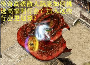传奇高级散人玩家如何挑选高福利行会？加入这些行会更划算？