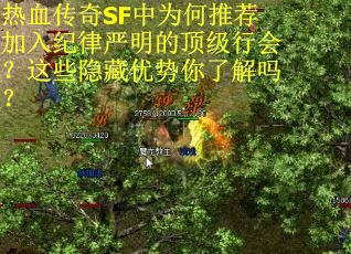 热血传奇SF中为何推荐加入纪律严明的顶级行会？这些隐藏优势你了解吗？