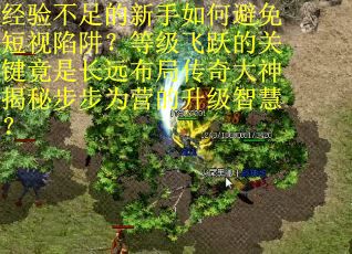 经验不足的新手如何避免短视陷阱？等级飞跃的关键竟是长远布局传奇大神揭秘步步为营的升级智慧？