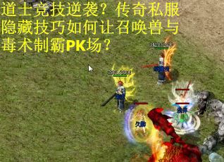 道士竞技逆袭？传奇私服隐藏技巧如何让召唤兽与毒术制霸PK场？