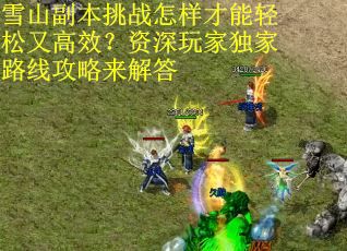 雪山副本挑战怎样才能轻松又高效？资深玩家独家路线攻略来解答