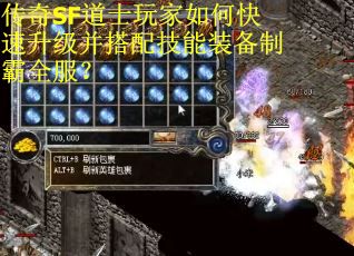 传奇SF道士玩家如何快速升级并搭配技能装备制霸全服？