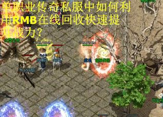 单职业传奇私服中如何利用RMB在线回收快速提升战力？
