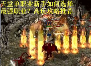 天堂单职业新手如何选择最强职业？高玩攻略推荐
