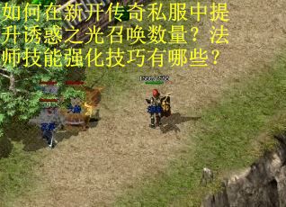 如何在新开传奇私服中提升诱惑之光召唤数量？法师技能强化技巧有哪些？