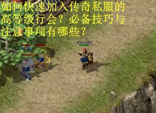 如何快速加入传奇私服的高等级行会？必备技巧与注意事项有哪些？