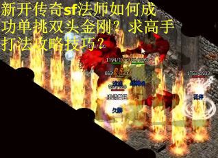 新开传奇sf法师如何成功单挑双头金刚？求高手打法攻略技巧？