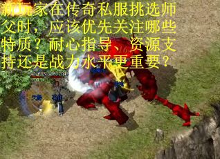 新玩家在传奇私服挑选师父时，应该优先关注哪些特质？耐心指导、资源支持还是战力水平更重要？