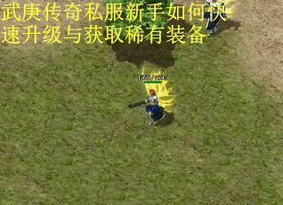 武庚传奇私服新手如何快速升级与获取稀有装备