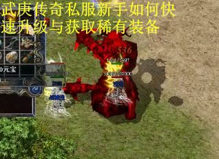 武庚传奇私服新手如何快速升级与获取稀有装备