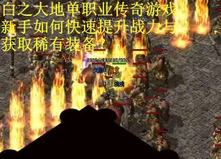 白之大地单职业传奇游戏新手如何快速提升战力与获取稀有装备？